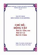 Bài Giảng Elearning Lớp 3