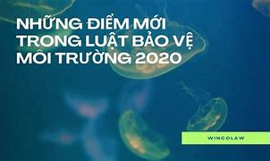 Luật Bảo Vệ Môi Trường Nhật Bản