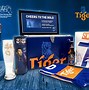 Quy Trình Sản Xuất Bia Tiger