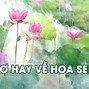 Thơ Về Hoa Sen Phật Giáo