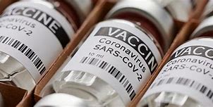 Vaccine Vietnam Tên Gì Ở Mỹ Đẹp Nhất